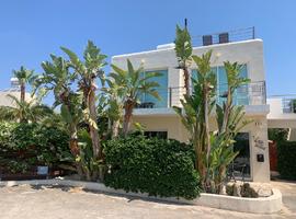 paphos villa