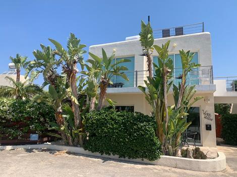 paphos villa